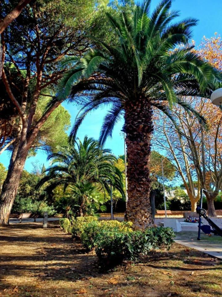 Studio Centre-Ville A 2 Pas De La Plage La Grande Motte Bagian luar foto